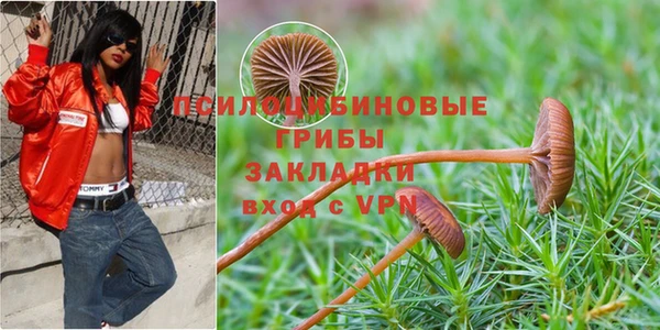спайс Алзамай
