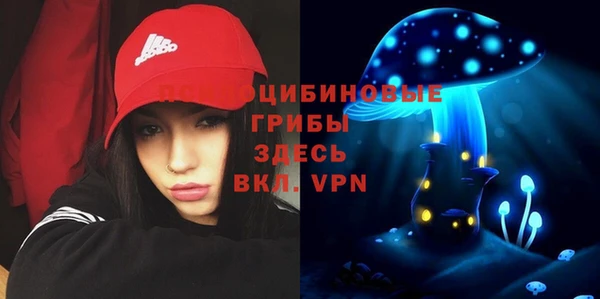 спайс Алзамай