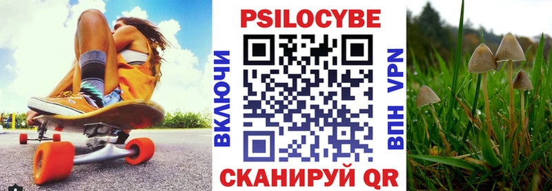 Псилоцибиновые грибы Cubensis  Слюдянка 